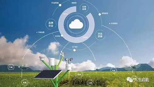 網(wǎng)絡技術開發(fā)專業(yè)就業(yè)前景盤點 揭秘未來職業(yè)發(fā)展方向